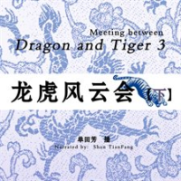 Meeting between Dragon and Tiger 3 by Unknown